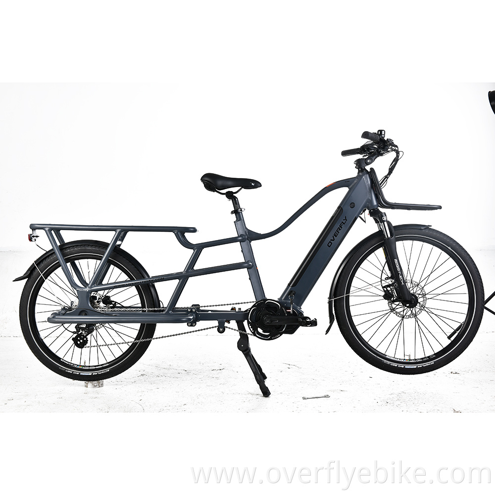 Cargo electric bikes